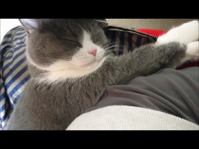 16時からミーティング？　遅らせて