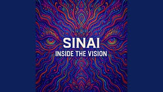 INSIDE THE VISION