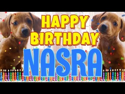 Happy Birthday Nasra! ( Funny Talking Dogs ) What Is Free On My Birthday