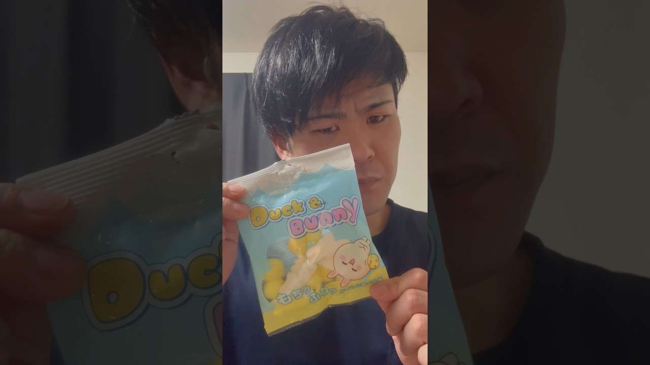 ダイソーのマシュマログミで米食う