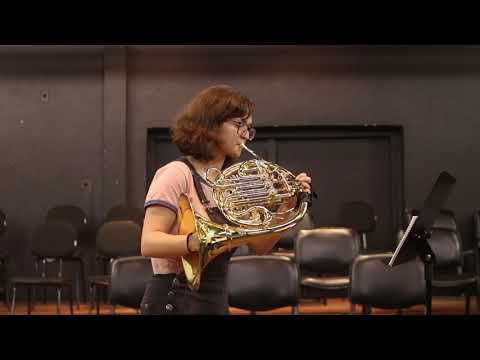 (VÍDEO 15) Que MAGIA é essa? Frulato e Multifônico!