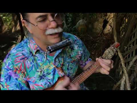 Neil Young Cover, 'Midnight On The Bay'