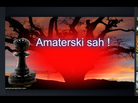 Amaterski šah -  GUFG GJU # 1002