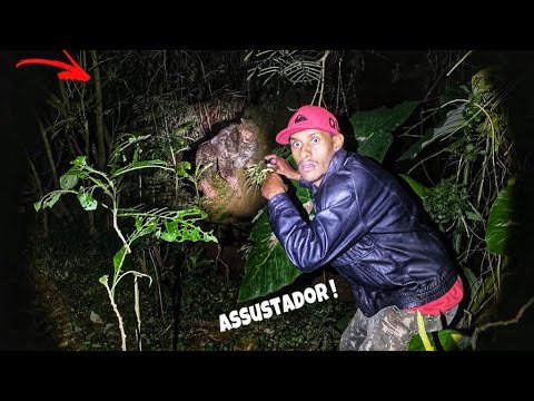 FINALMENTE ENCONTRAMOS A CRIATURA .  Será um LOBISOMEM !