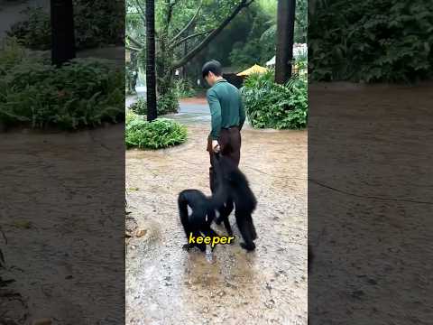 How happy it feels to leave the zoo after work.#zoo #zootopia #animal