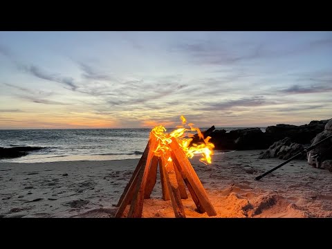 Avicii, Martin Garrix, Jonas Blue, sigala   FIRE NATION 2023