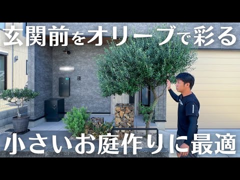 小さなエリアを飾るために鉢植えの木をテラスに適応させるにはどうすればよいですか？  庭園