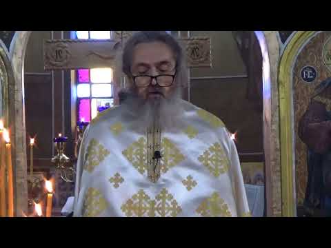 Pr. Dan Popovici – Despre mânie și tămăduirea ei în Pateric