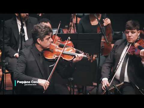 Edino Krieger – Pequeno Concerto para violino e cordas | OSN UFF | Solista e Regente: Daniel Guedes