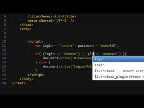 Javascript 19 Les opérateurs logiques ET OU et NON