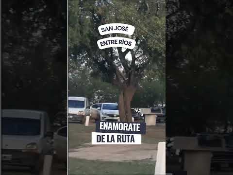 SAN JOSÉ -  ENTRE RÍOS  #Shorts  #EntreRíos  #TurismoenArgentina  #Turismo  #RutasArgentinas