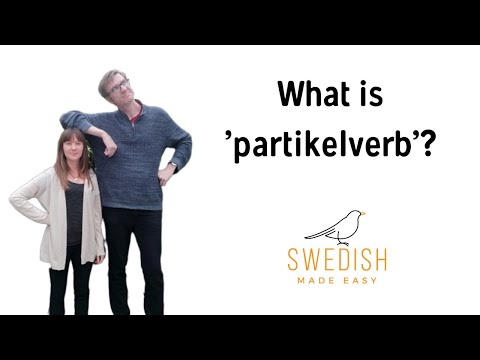What is 'partikelverb'?