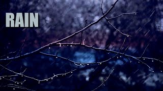 GLAY - RAIN (lyrics)