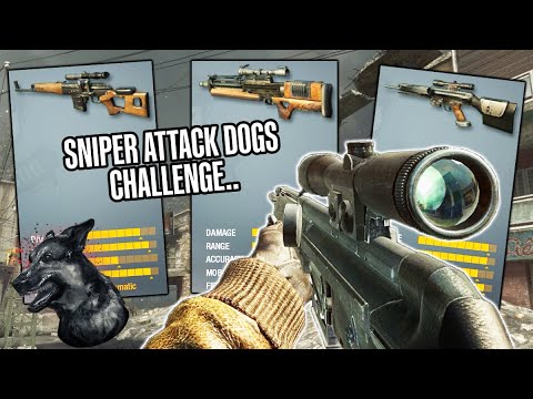 Can I Get DOGS With EVERY Sniper In Black Ops 1..?