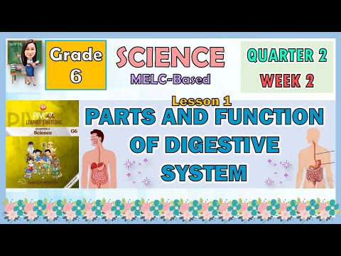 SCIENCE 6 QUARTER 2 WEEK 3 LESSON 1 | PARTS AND FUNCTION OF DIGESTIVE SYSTEM
