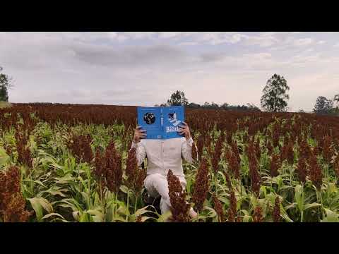 MAETTO -   " Beatles  e  Você "