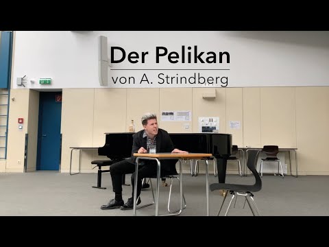 Der Pelikan - Monolog