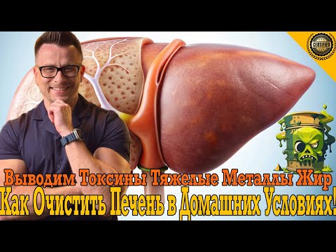 Выводим токсины, тяжелые металлы и жир! Как очистить печень в домашних условиях?! Выводим токсины, тяжелые металлы и жир! Как очистить печень в домашних условиях?!