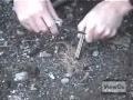 How to Make Fire with a Magnesium Fire Tool