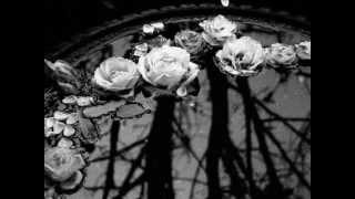 Sopor Aeternus - Omen Sinistrum - Subtitulos español