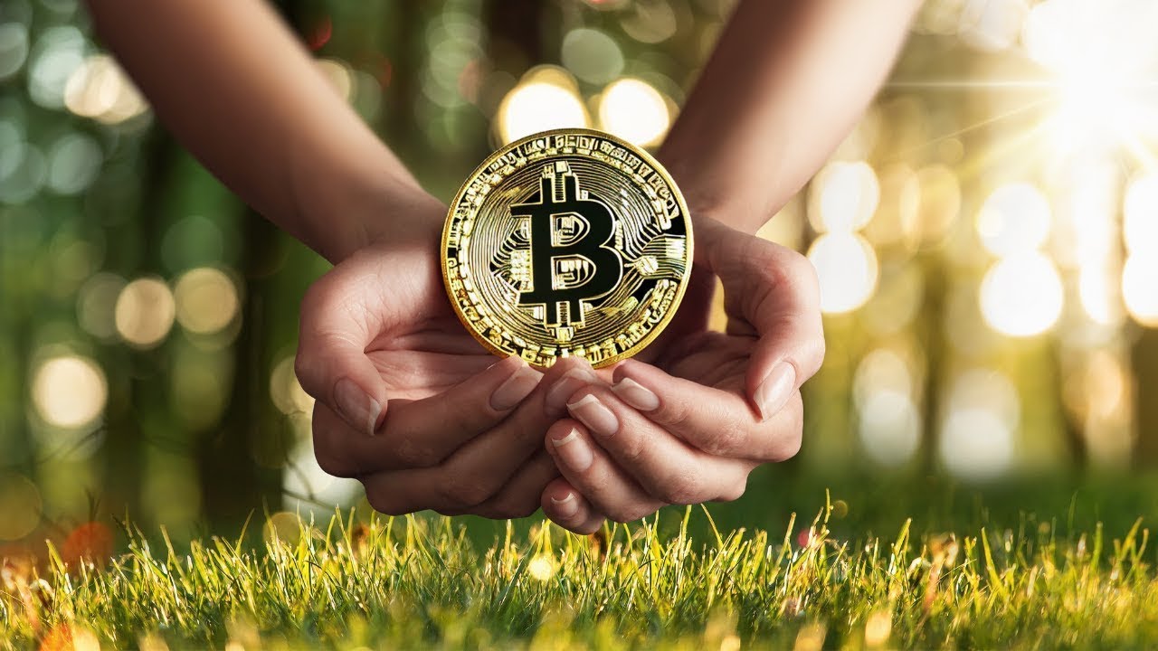 Bitcoin's Environmental Impact  The Undeniable Truth