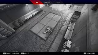 APEX 初心者が行くランクリーグ