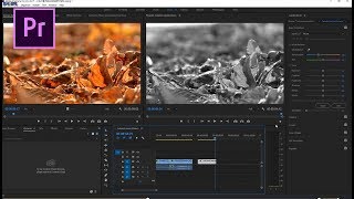 프리미어프로 야매강좌 10강 화이트밸런스 색 보정 레드필터 비포앤애프터효과