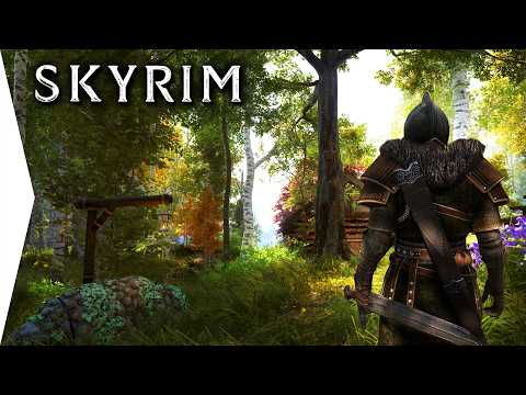 It's Skyrim but with the Best Looking Graphics & Gameplay Overhaul Mods