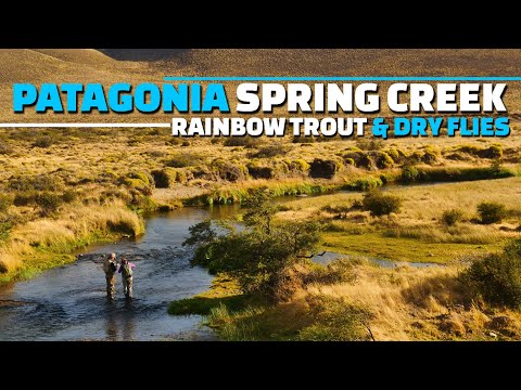 Patagonia Spring Creek Fly Fishing - Rainbow Trout & Dry Fly Fishing in a Patagonia Spring Creek