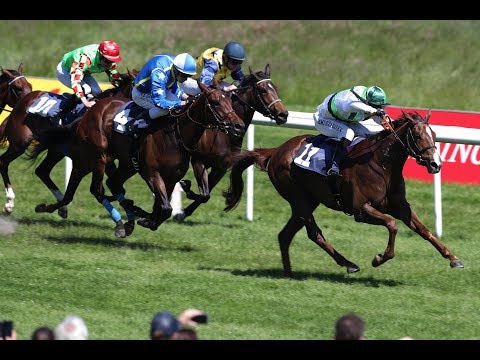 Baden-Baden Kronimus Diana Trial 2019 (L) - Siegerin: Preciosa