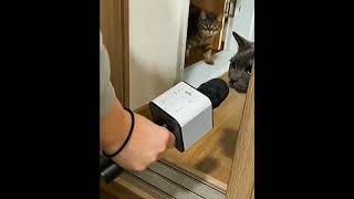 Can anybody hear me 😺😸😹