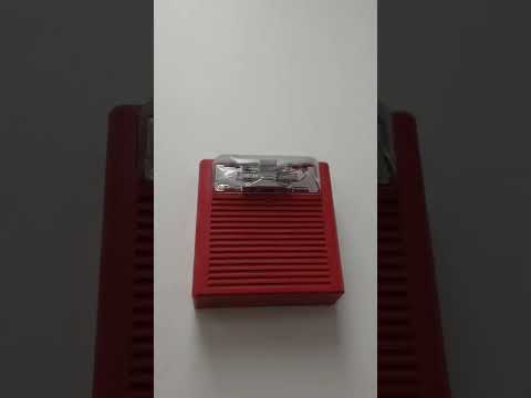 Wheelock AS at Half Price Books, Orland Park, IL