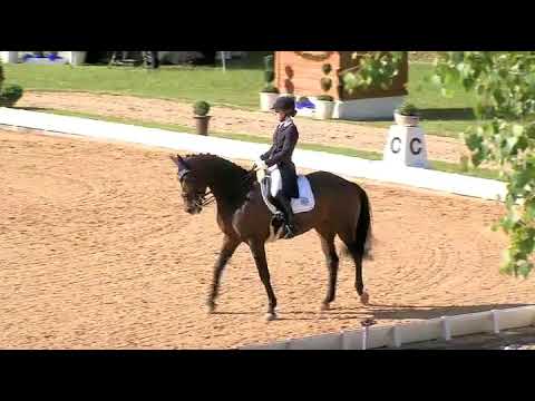 Pferd International 2014