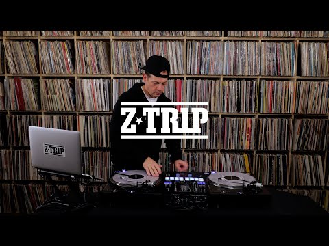 Zuhal Youtube Videos