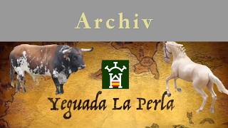 EL JEFE DE LA MANADA - LUSITANOS EN LIBERTAD