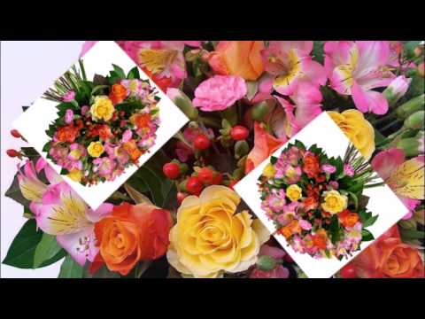 Любви и счастья вам на жизненном пути.