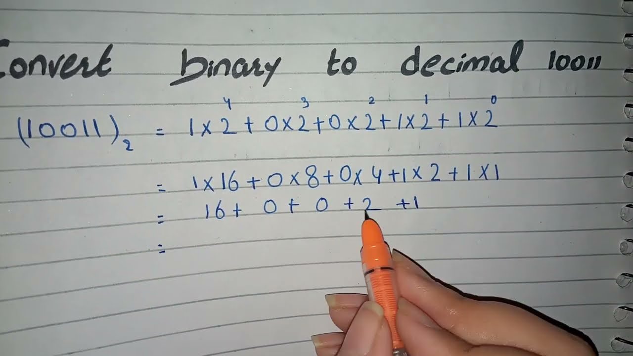 Convert Binary to Decimal 10011