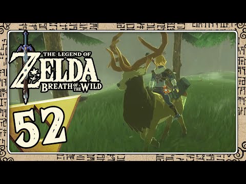 Zelda botw erinnerungen