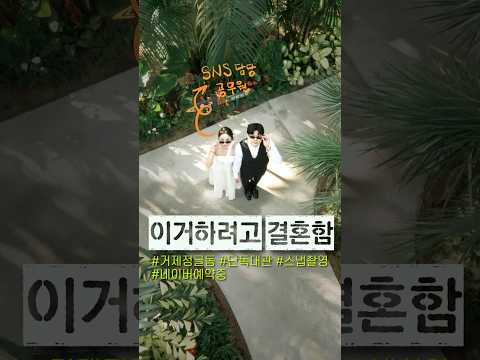 저.. 이거 하려고 결혼해요 #거제정글돔 #웨딩촬영