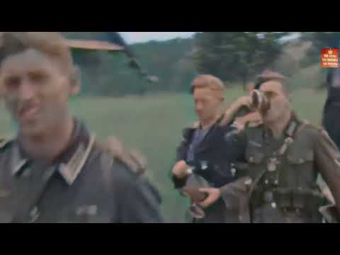 The siege of Leningrad, German Army Group North advanced to the city of Leningrad #ww2 #germanarmy