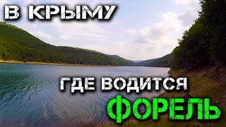 Тайганское водохранилище крым рыбалка 2019
