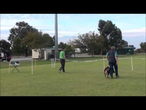 Metronome with judge calling 132 bpm