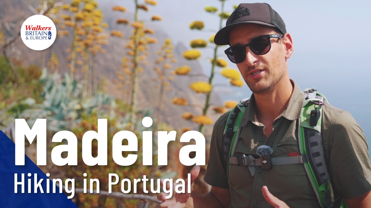 Discover Madeira