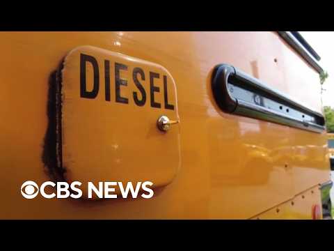 Average diesel price likely to break all-time record in October, petroleum analyst says