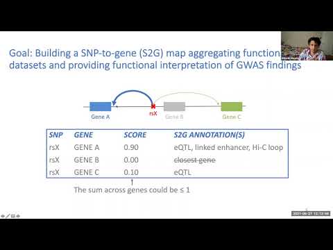 Combining SNP-to-gene link strategies to pinpoint disease genes and inform disease gene architecture