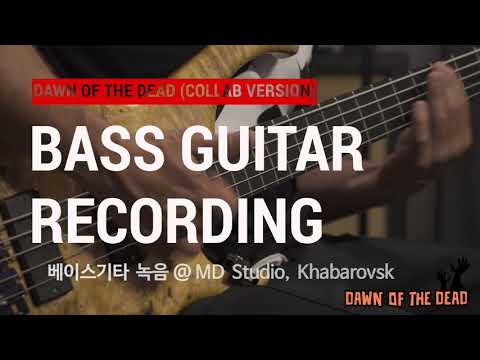 DAWN OF THE DEAD - Bass Guitar Recording 베이스기타녹음 (해리빅버튼 X 스타킬러즈)