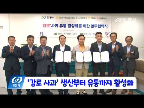 [안동 현장 리포트] 9월 15일, ‘감로 사과‘ 생산부터 유통까지 활성화