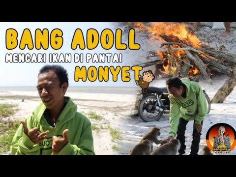 bang-adolll-jalan-ke-pantai-comeback-bg-adoll
