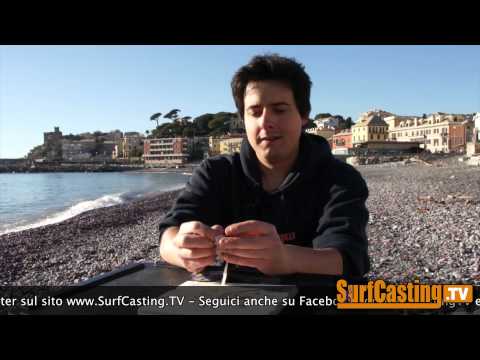 COME FARE un INNESCO MISTO con SARDINA + TENTACOLI di CALAMARO PER PESCA A FONDO | SurfCasting TV
