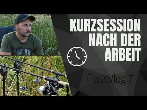 Fluss-Vlog 7 - Mit wenig Zeit zum Fisch - | Karpfenangeln im Fluss